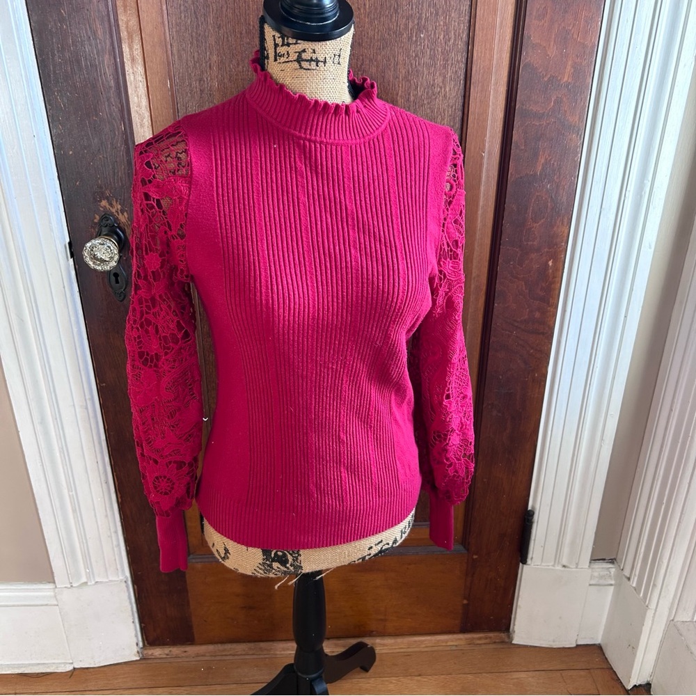 Sioni Red Lace Sleeve Turtleneck Sweater